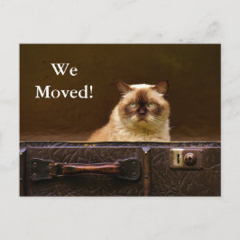 We zijn verhuisd! Nieuw adres Aankondiging kat in