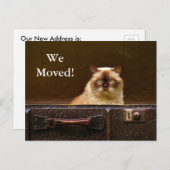 We zijn verhuisd! Nieuw adres Aankondiging kat in  (Voorkant / Achterkant)