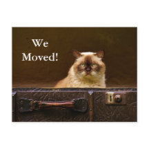 We zijn verhuisd! Nieuw adres Aankondiging kat in