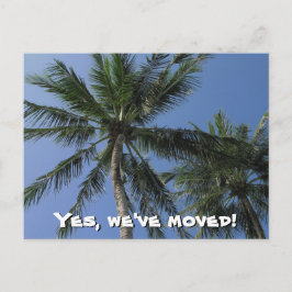 We zijn verhuisd - Palm Trees op Briefkaart