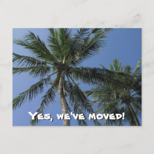 We zijn verhuisd - Palm Trees op Briefkaart