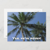 We zijn verhuisd - Palm Trees op Briefkaart (Voorkant / Achterkant)