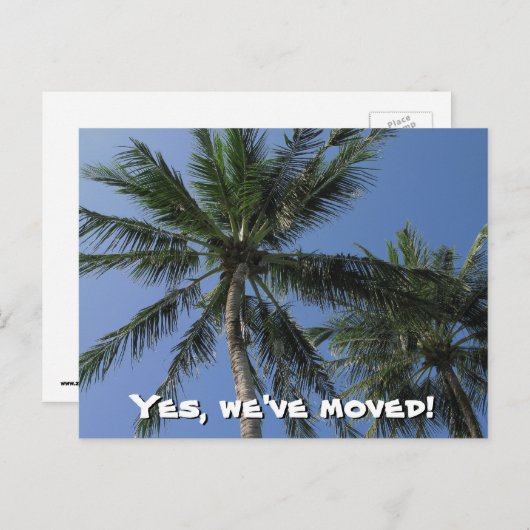 We zijn verhuisd - Palm Trees op Briefkaart (Voorkant / Achterkant)