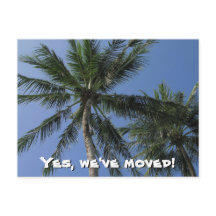 We zijn verhuisd - Palm Trees op Briefkaart