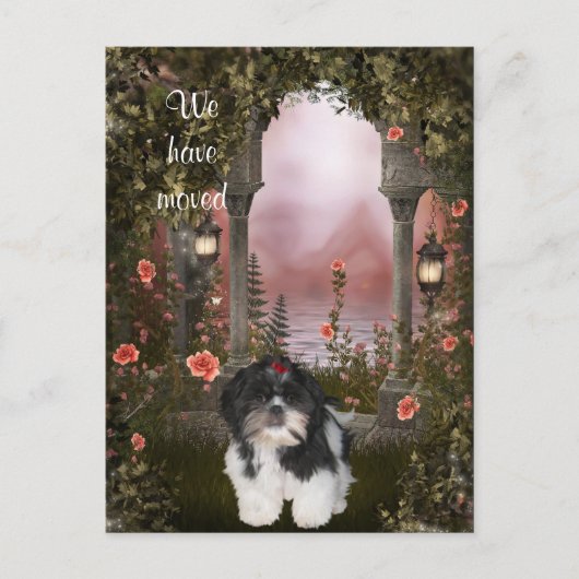 "We zijn verhuisd" Shih Tzu Briefkaart (Voorkant)