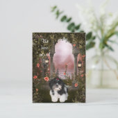 "We zijn verhuisd" Shih Tzu Briefkaart (Staand voorkant)