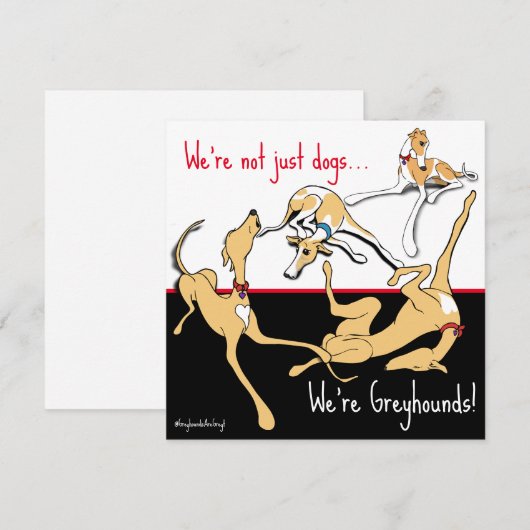 We zijn windhonden! Zwart, wit en rood thema. Feestdagenkaart (Voorkant / Achterkant)