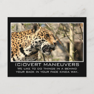 We zouden nooit iets voor je verbergen. briefkaart