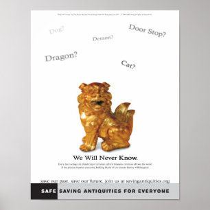 We zullen nooit poster kennen