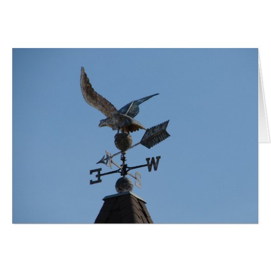 Weather Vain (Voorkant Horizontaal)