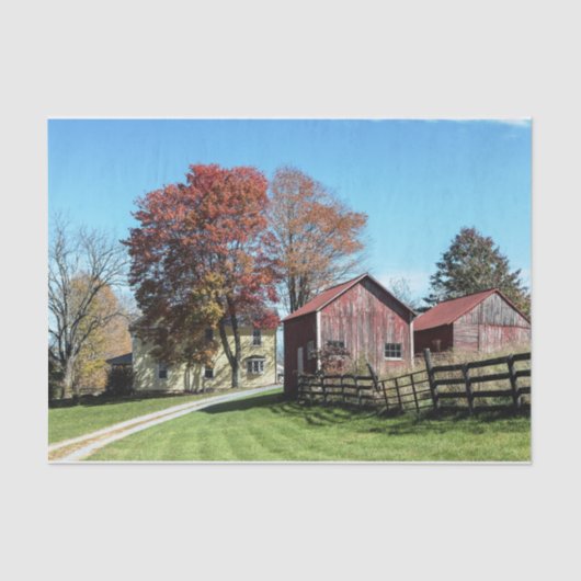 Weatherde rode zweren met talggrassen en hek tissuepapier (Voorkant)