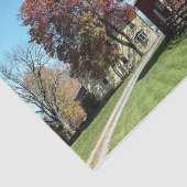 Weatherde rode zweren met talggrassen en hek tissuepapier (Detail)