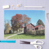 Weatherde rode zweren met talggrassen en hek tissuepapier (Craft)