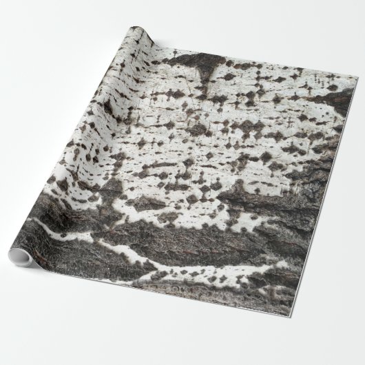 Weathered birch trunk cadeaupapier (Uitgerold)