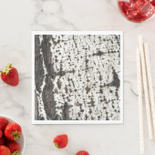 Weathered birch trunk servet (Insitu)