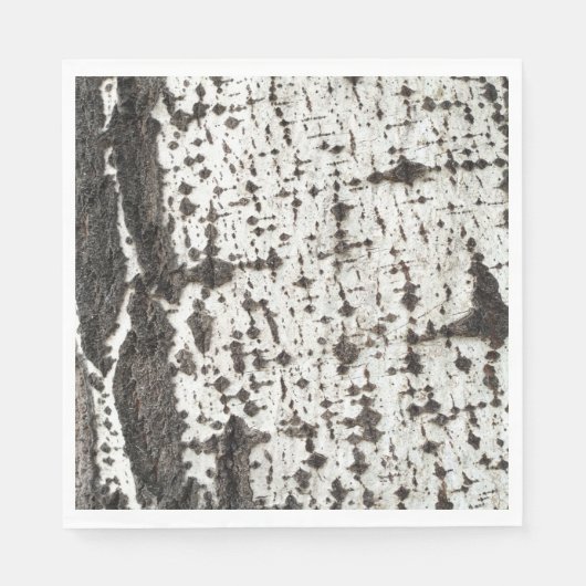Weathered birch trunk servet (Voorkant)