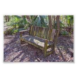 Weathered Park Bench, Dauphin Island Foto Afdruk