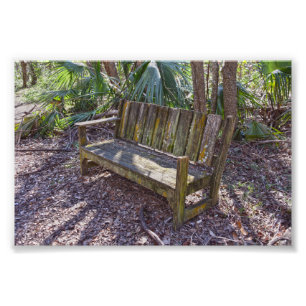 Weathered Park Bench, Dauphin Island Foto Afdruk