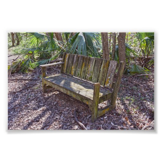 Weathered Park Bench, Dauphin Island Foto Afdruk (Voorkant)