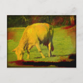 Weathered Pasture Briefkaart (Voorkant)