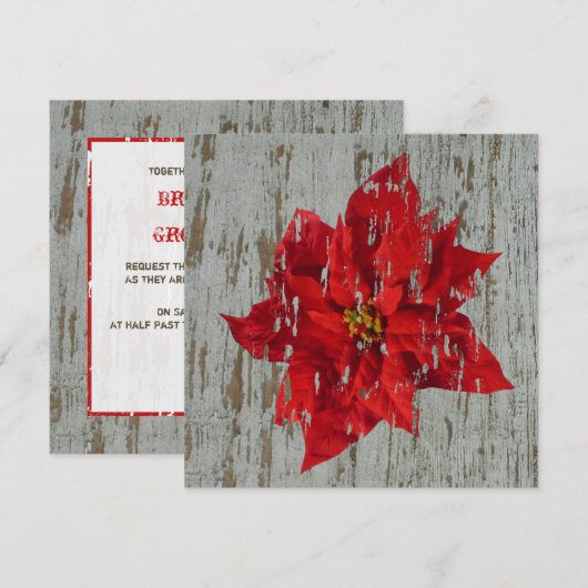 Weathered Poinsettia Winter / kerstbruiloft Kaart (Voorkant / Achterkant)