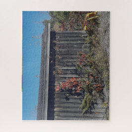 Weathered Shed with Encroaching Green Legpuzzel