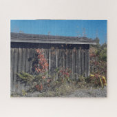 Weathered Shed with Encroaching Green Legpuzzel (Horizontaal)