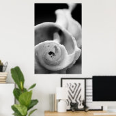 Weathered Shell Poster (Thuiskantoor)