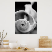 Weathered Shell Poster (Keuken)