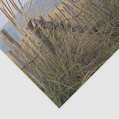 Weathered strand fence and dune gras at at strand tissuepapier (Detail)
