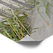 Weatherfence en zandduinen op het strand poster (Hoek)