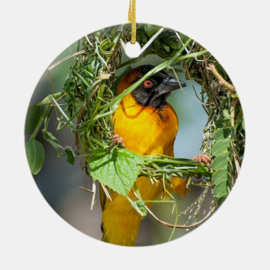 Weaver Bird Building Nest Keramisch Ornament (Achterkant)