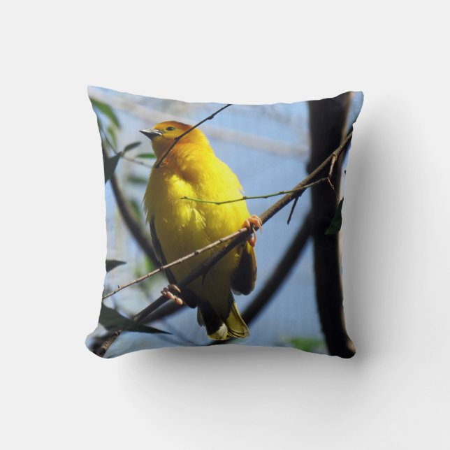 Weaver Bird Pillow Kussen (Voorkant)