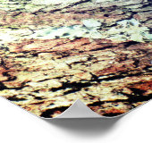 Weaver Bird Poster - R - 1948 (Hoek)