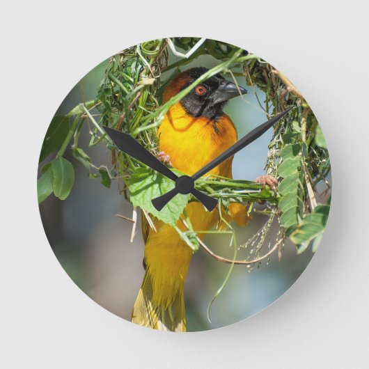 Weaver Bird Ronde Klok (Voorkant)