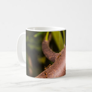 Weaver Mieren op een Hout Koffiemok