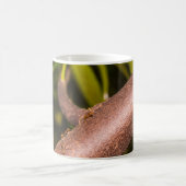 Weaver Mieren op een Hout Koffiemok (Center)