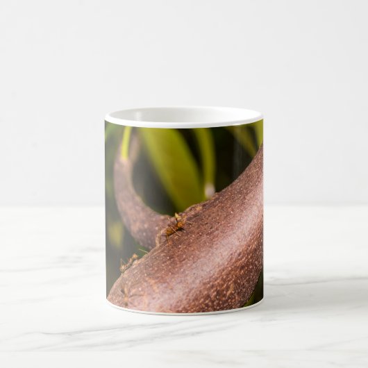 Weaver Mieren op een Hout Koffiemok (Center)