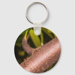 Weaver Mieren op een Hout Sleutelhanger