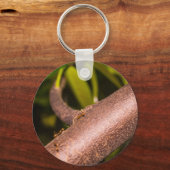 Weaver Mieren op een Hout Sleutelhanger (Voorkant)