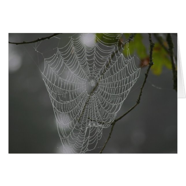 WEB (Voorkant Horizontaal)