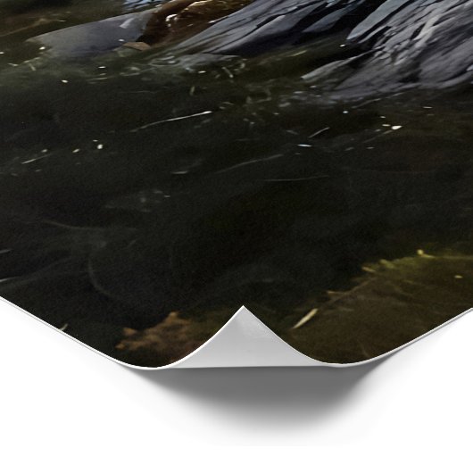 Web boven de bergen poster (Hoek)