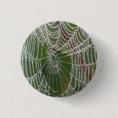 Web - Button (Voorkant)