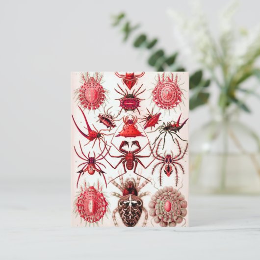 Web Crawlers Briefkaart (Staand voorkant)