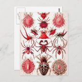 Web Crawlers Briefkaart (Voorkant / Achterkant)