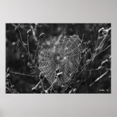 Web Dewy Morning Poster (Voorkant)