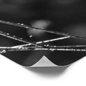 Web Dewy Morning Poster (Hoek)