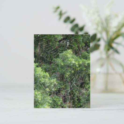 Web Dewy Spider Briefkaart (Staand voorkant)