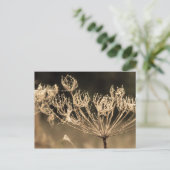 Web en water in Sepia Briefkaart (Staand voorkant)