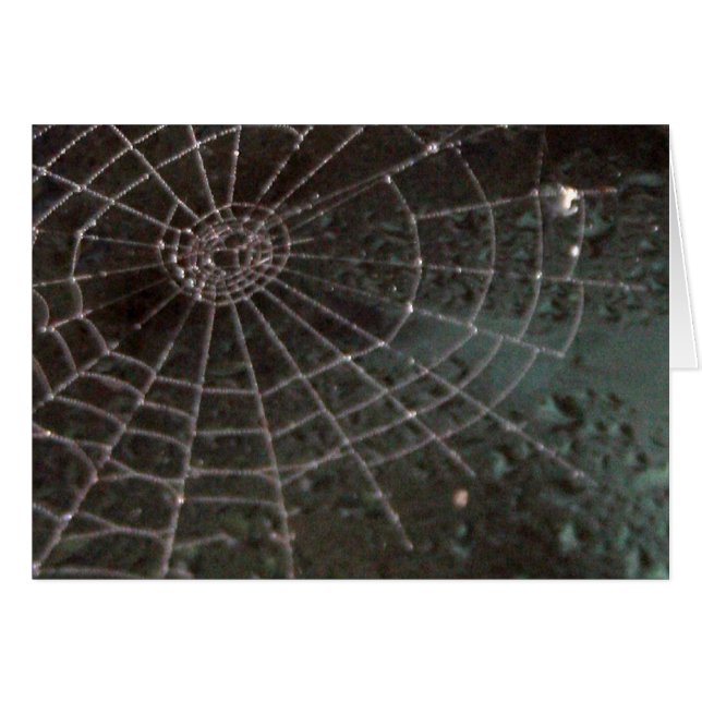 Web Glass Spider (Voorkant Horizontaal)